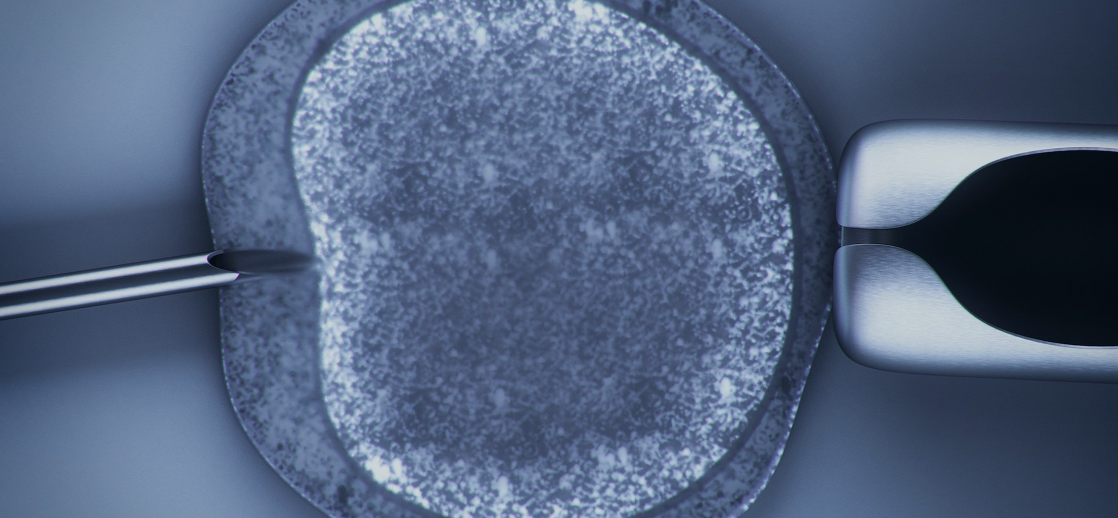 Pregnancy Acupuncture Melbourne Fertility/IVF Treatment Near Me