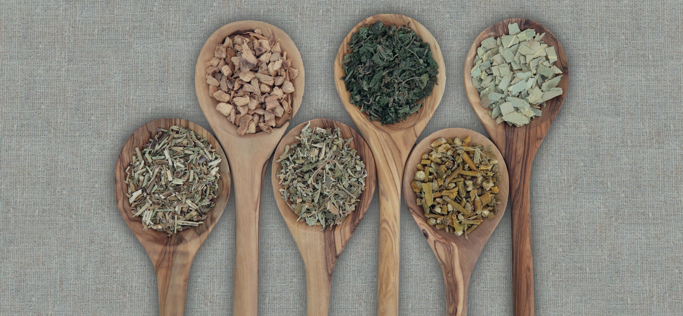 Five wooden spoons with dried herbs on them.